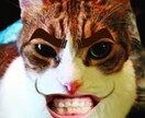 SNS向けの動画や写真加工いたします おもしろ動画や写真を仲間に送ろう イメージ8