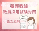 養護教諭★教採対策★【小論文】の添削します 養護教諭合格経験者からのアドバイス イメージ1