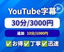 格安❗️YouTube内字幕を提供します ✅お得✅丁寧✅迅速　期待以上のサービスを提供します イメージ1