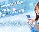 文字起こし＆テロップ入力をいたします YouTube解説動画 トーク動画 会議 セミナーに最適 イメージ1