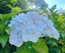 あなたのお気持ちお聞きします ⭐︎素敵なあなたを取り戻すお手伝い⭐︎癒しと安心を⭐︎ イメージ1