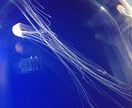 家族、子供、愛のあるファミリー写真提供します お仕事でファミリー写真が必要な方へ イメージ1