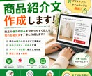 商品紹介文を分かりやすく作成します 売上アップにつながる文章を丁寧に作成します イメージ1