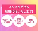 インスタグラムの運用代行します インスタ担当がいなくてお困りの企業様必見！ イメージ1