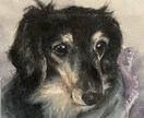ペットの絵、描きます 大切なご家族の姿を、写真とはまた違う形で飾りませんか？ イメージ5