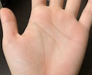 写真2枚で龍神手相鑑定をします 手の写真から才能・仕事・金運を龍神手相で鑑定します イメージ7