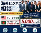 海外ビジネス・海外進出の相談に乗ります 海外で実際に事業を立ち上げた経営者が60分一緒に考えます イメージ1