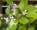 筆文字のデザイン力と書道の技術を活かして制作します ひとつ格上の筆文字を目指します イメージ2
