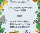 アニマルコミュニケーション 動物さんとお話しします アニマルコミュニケーションと動物さんからのメッセージ付き イメージ6