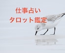 AIで占っても満足出来ない方へ！仕事運読み取ります 経歴20年以上★タロットで深く読み取ります！ イメージ1