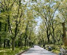 こころのお悩み相談受付けます 将来の臨床心理士✳︎大学院で勉強中✳︎ イメージ1