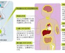 管理栄養士資格取得手伝います 7回連続学年1位国家試験模擬テスト イメージ1