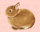 ペットさんの似顔絵をお描きします 大切なペットさんのお写真をもとに似顔絵をお描きいたします。 イメージ5