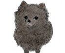 ペットの絵を描きます わんちゃんねこちゃんなどご家族の一員を可愛い絵にします イメージ9