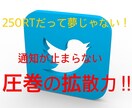 ツイートを50RTから250RTまで拡散します 圧倒的拡散力で宣伝・広告を行います！ イメージ1