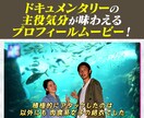ドキュメントの主役気分になれる結婚式ビデオ作ります 基本料金内で20カットの持ち込み動画を入れることができます イメージ1