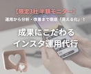 半額モニター 【限定3社】インスタ運用代行します 1ヶ月徹底設計＆PDCAでプロが「ほぼ丸投げ」で伴走する イメージ1