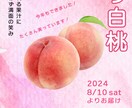 バナー・広告・DMなどのWEB画像を制作いたします 興味がわくデザインをお求めの方ご相談ください！ イメージ4
