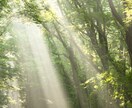大人男性との30分集中チャット☘️何でも受止めます 雑談、お悩み、グチ、相談などなど何でも大丈夫です☘️ イメージ3