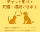 エキゾチックアニマルのお悩み相談お伺いします どんなペットの相談でもOKです イメージ4