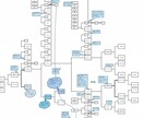 戸籍の取り寄せを代行し、家系図を作成します 戸籍・古い公文書の調査から読み取れるトピックも記載します！ イメージ3