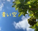 沖縄本島の旅を満喫するお手伝いします 沖縄旅行/穴場/海/観光スポット/体験/グルメ/ドライブ♪ イメージ3