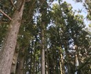 お子様のお話しお聞きします 支援学級のお子様は才能が秘められている！ イメージ5