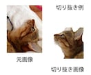画像データのお困りごとを解決します 切り抜き、画像加工等お手伝いします イメージ3
