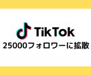 2.5万人Twitter垢でTikTok拡散します 全てアクティブユーザー、日本人フォロワー イメージ1