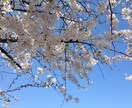 今日はどんな日でしたか？何でもお話し頂けます 毎日を笑顔で活躍できますよう、全力であなたをサポートします イメージ1