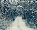冬の写真ご提供します 【北米ミネソタ州ならではの冬の写真をお届け！】 イメージ2