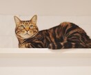 最高画質×女性同行。元チワワ飼い主が可愛く写します 女性同行可で安心。6100万画素の描写で一生モノの写真を。 イメージ7