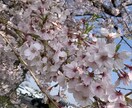 介護のブログ、記事ライティングします 介護ブログや記事お手伝いさせてください！！ イメージ1