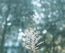 緊急！1時間以内に霊視タロットで結果をお届けします 今すぐ答えがほしい！そんな緊急のお悩みに対応します･.｡*･ イメージ2