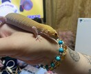 占います 自信もって皆様が幸せになりますように イメージ10