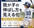 野球少年の伸ばし方を分析します 野球少年の強み・課題・練習を見える化 イメージ1