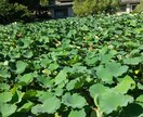 会社やアルバイトでのお悩みの相談にのります 前向きに、プラス思考でお話しましょう！！ イメージ7