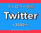 Twitter宣伝！フォロワー3000人増やします 1500円で+3000人！最大5万人まで増加可能！ イメージ1