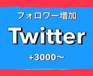 Twitter宣伝！フォロワー3000人増やします 1500円で+3000人！最大5万人まで増加可能！ イメージ1