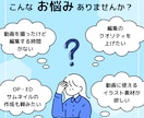 企業案件実績有り！視聴者が飽きない動画を作ります ジャンル不問＊丸投げOK＊部分作業OK＊編集代行承ります♪ イメージ2