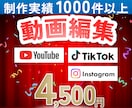 インスタ｜TikTok｜YouTube対応します テンポ抜群！視聴者を掴む編集！ イメージ1