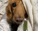 あなたの悩みどんどん吐きましょ！何でも聞きます 私の事は気にせずどんどん悩みを吐いてね！タメ口、即切りOK イメージ3