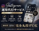 丸投げOK!!Instagram運用代行致します あなたの運用を30日間お任せ下さい！ イメージ1