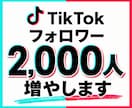 TikTok｜フォロワー2,000人増やします ティックトック｜フォロワー増｜拡散｜集客｜30日補填保証 イメージ1