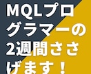 MQLプログラマーの2週間ささげます 14日間、お客様のありとあらゆる問題を解決していきます イメージ1