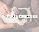 写真3枚で診断❗️あなたのペットの本音を伝えます 可愛いペットの心の声を聞いて、さらに絆を深めましょう❤️ イメージ7