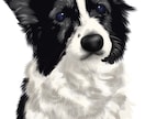 お写真を元にペットの似顔絵を描きます あなたのお気に入りの1枚がイラストに イメージ6