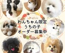 羊毛フェルトで愛犬そっくりにお作りします 犬限定『うちの子』オーダーメイド承ります!羊毛フェルト イメージ1