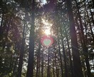 未来を決めつけない方法で占います 言動や考え方を一緒になって考えていきます イメージ3