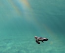 あなたの手を見てまだ言葉にされてない気質をあてます 手のひらからあなたの“気質”を一文で占います｜写真1枚でOK イメージ1